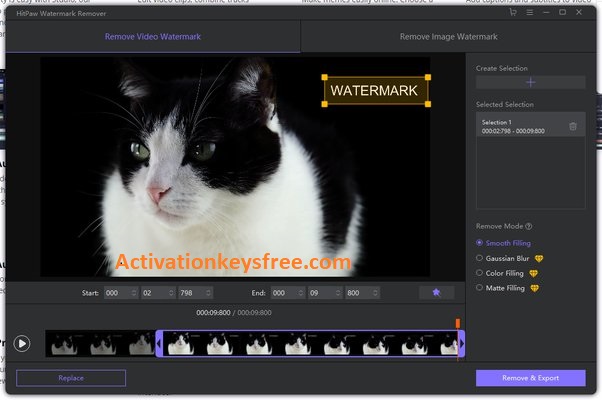 HitPaw Watermark Remover Crack